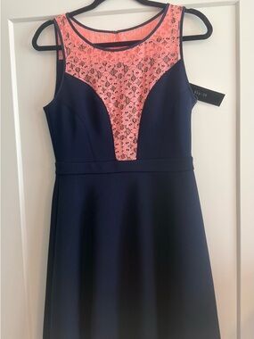 Navy Midi Dress with Pink Lace Yoke